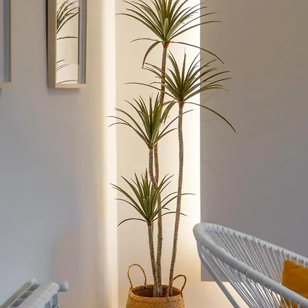 Appartement Faro De - Pisos Turisticos *