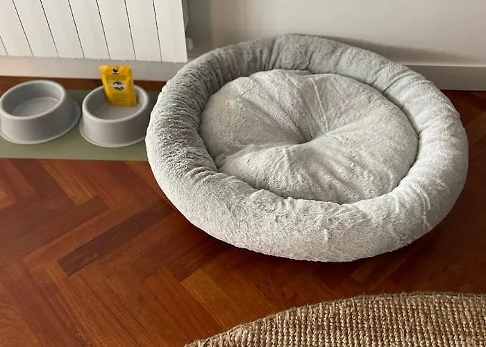 Faro De - Pisos Turisticos Laxe